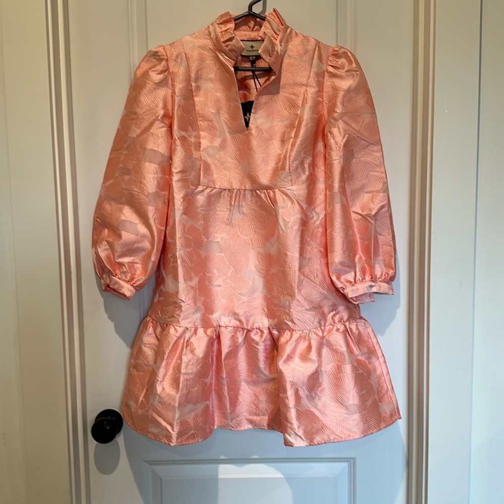 Tuckernuck NEW Bellini Fil Coupe Pink Drop Waist Long Sleeve Palmerston Dress S